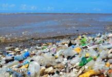 Honduras solicitará 85 millones de dólares en la Cumbre de Clima para resolver el problema de la basura con Guatemala