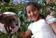 Según informe forense, Allison Argueta habría sido víctima de un homicidio y no atacada por un pitbull