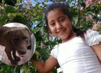 Según informe forense, Allison Argueta habría sido víctima de un homicidio y no atacada por un pitbull