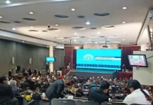 Informe presentado por el Congreso Nacional fue un “show mediático”, considera analista