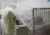 Médico advierte que SPS está invadida de zancudos y el dengue va aumentando rápidamente