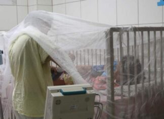 Médico advierte que SPS está invadida de zancudos y el dengue va aumentando rápidamente