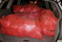 Policía Nacional detiene a hondureño con seis sacos de marihuana en vehículo tras persecución en Olancho