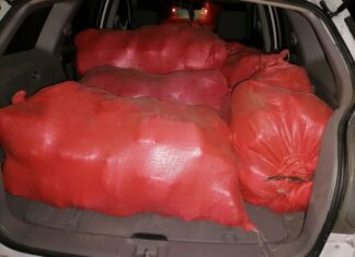 Policía Nacional detiene a hondureño con seis sacos de marihuana en vehículo tras persecución en Olancho