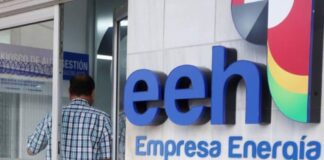 EEH no ha cumplido con la recuperación de pérdidas de la ENEE, dice economista