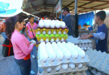 El precio del cartón de huevos y la medida de frijoles sobrepasa el costo de los L.100 en la capital