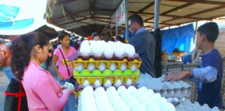 El precio del cartón de huevos y la medida de frijoles sobrepasa el costo de los L.100 en la capital