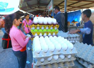 El precio del cartón de huevos y la medida de frijoles sobrepasa el costo de los L.100 en la capital