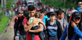 Analizarán en Honduras papel de Ombudsman frente a migración y desplazamiento