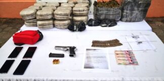 Ministerio Público quema 42.9 kilos de marihuana