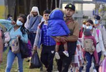 Defensora de DDHH dice que las caravanas de migrantes continuarán mientras no se elimine la corrupción, el desempleo y la inseguridad