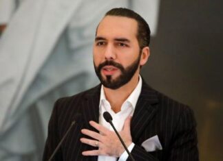 Bukele: La OEA «estuvo de acuerdo» en convertir a las maras salvadoreñas en un partido político