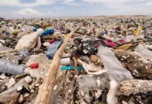 Colapsa biobarda del río Motagua y provoca que lleguen toneladas de basura a playas de Omoa