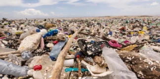 Colapsa biobarda del río Motagua y provoca que lleguen toneladas de basura a playas de Omoa