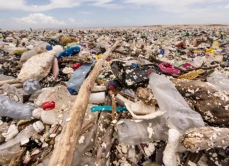 Colapsa biobarda del río Motagua y provoca que lleguen toneladas de basura a playas de Omoa