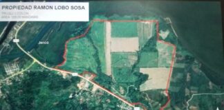 El MP logra una sentencia sobre la privación definitiva de bienes de Ramón Lobo Sosa