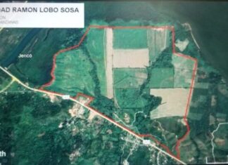 El MP logra una sentencia sobre la privación definitiva de bienes de Ramón Lobo Sosa