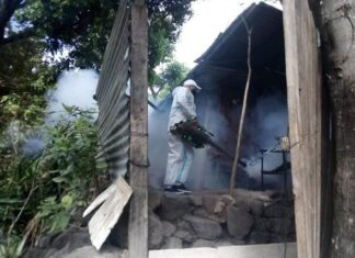 Salud podría declarar epidemia de dengue en el país ante el aumento acelerado de casos