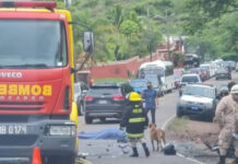 La DNVT reporta 16 muertes por accidentes viales durante el fin de semana