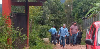 Hombre muere tras ser atacado por varios perros en Valle de Ángeles