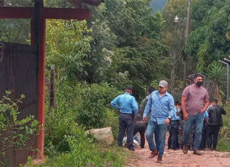 Hombre muere tras ser atacado por varios perros en Valle de Ángeles