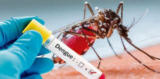 Epidemióloga advierte que la situación del dengue ya es alarmante