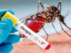 Epidemióloga advierte que la situación del dengue ya es alarmante