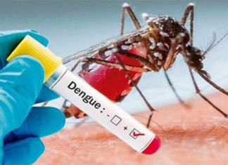 Reportan 30 muertes a causa del dengue en el país
