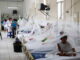 Ante el aumento de casos de dengue, la Secretaría de Salud podría declarar epidemia