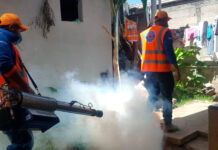 Exhortan a Salud iniciar campañas de abatización y fumigación para prevenir el dengue
