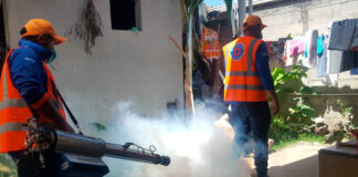 Exhortan a Salud iniciar campañas de abatización y fumigación para prevenir el dengue