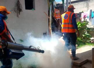 Exhortan a Salud iniciar campañas de abatización y fumigación para prevenir el dengue