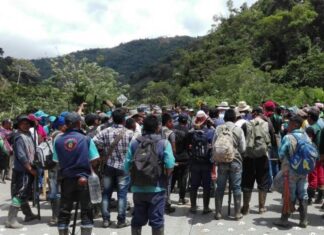 El 76% de familias desplazadas no tiene ingresos suficientes en Honduras, según estudio de World Vision