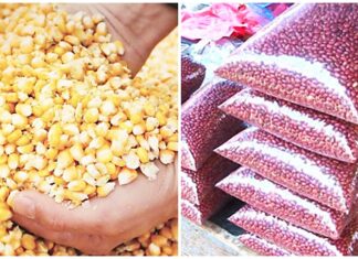 Carga de frijoles y maíz aumenta en 200 y 40 lempiras respectivamente