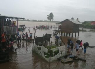 Debido a las lluvias, unas 20 escuelas están inundadas en La Mosquitia