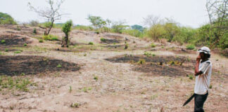 El cambio climático y el empleo decente son algunas de las prioridades de cooperación de la UE con Honduras