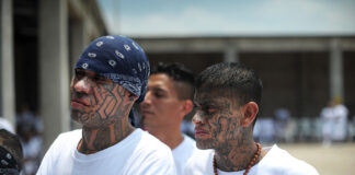Magistrados de la CSJ de El Salvador aprueban extraditar a un pandillero de la MS-13