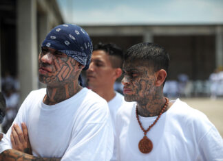 Magistrados de la CSJ de El Salvador aprueban extraditar a un pandillero de la MS-13