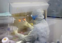 Nueva terapia con «resultados prometedores» para un cáncer cerebral infantil