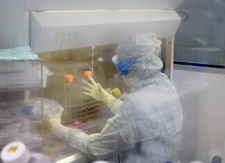 Factores de riesgo provocan la mitad de muertes por cáncer, según estudio