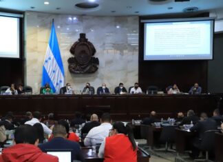 El CN aprobó 14 de los 28 artículos para Ley Orgánica de la Junta Nominadora; el lunes continúan