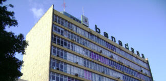 Banadesa anuncia créditos de hasta 2 millones de lempiras para el sector ganadero