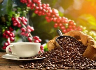 Productores nacionales manifiestan que exportación del café hondureño ha caído en un 14%
