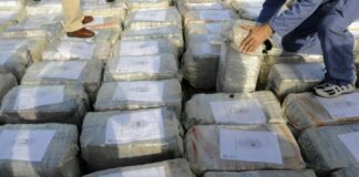 Incautan en Colombia más de 800 kilos de cocaína con destino a Centroamérica