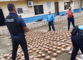 Decomisan unas mil 400 libras de marihuana en Danlí, El Paraíso