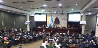 Edmundo Orellana: “Diputadas que votaron a favor que maltratadores se postulen a la CSJ, no deben estar en el CN”