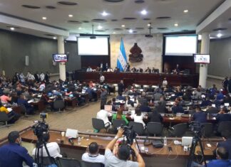 Edmundo Orellana: “Diputadas que votaron a favor que maltratadores se postulen a la CSJ, no deben estar en el CN”