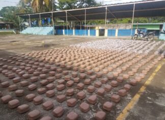 Con 1,400 libras de marihuana capturan a una distribuidora de droga en la zona oriental del país