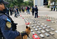 Decomisan 212 kilos de cocaína escondidos en una zona montañosa de Honduras