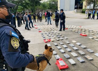 Decomisan 212 kilos de cocaína escondidos en una zona montañosa de Honduras